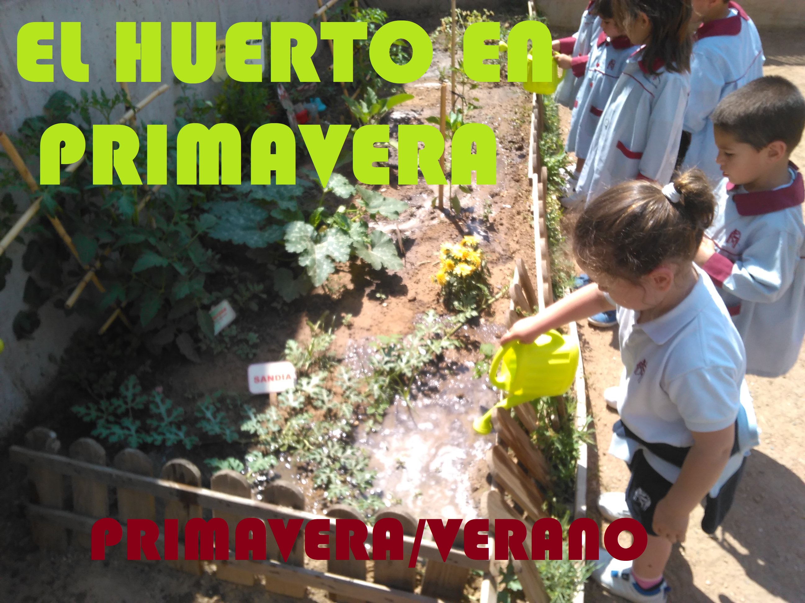 huerto